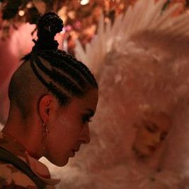 Bilder Bibliotheque Pascal