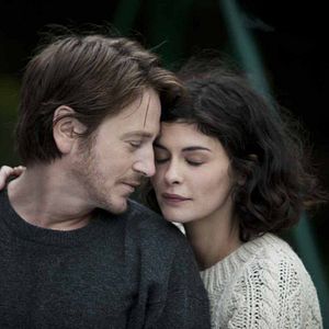 Bilder Des vents contraires