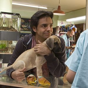 Bilder No eres tú, soy yo