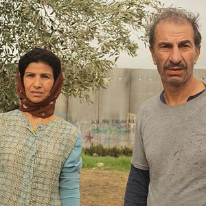 Bilder Das Schwein von Gaza