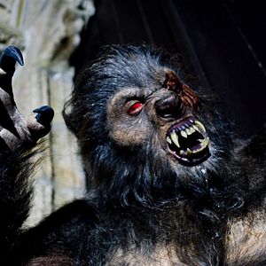 Bilder Game of Werewolves - Die Jagd beginnt!