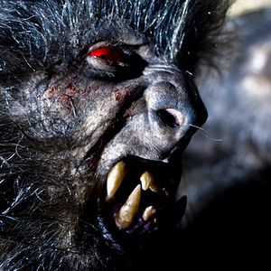 Bilder Game of Werewolves - Die Jagd beginnt!