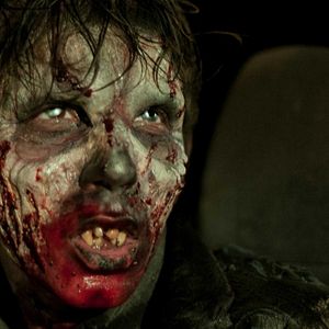 Bilder Vampire Nation