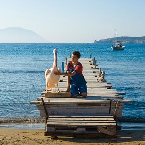 Bilder Olivier Horlait