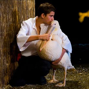 Bilder Olivier Horlait