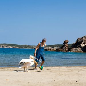 Bilder Olivier Horlait