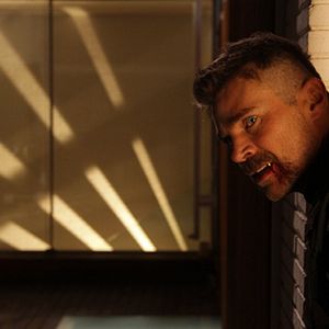 Bilder Transgression