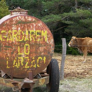 Bilder Tous au Larzac – Leadersheep