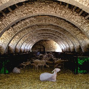 Bilder Tous au Larzac – Leadersheep