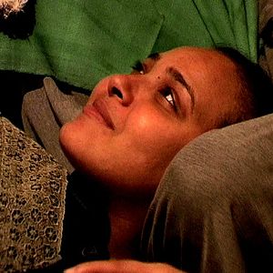 Bilder The Hand of the Butterfly