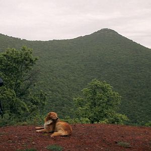 Bilder Die Leitung der Vernunft