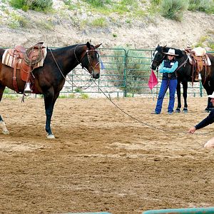 Bilder Buck - Der wahre Pferdeflüsterer