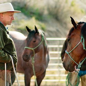 Bilder Buck - Der wahre Pferdeflüsterer