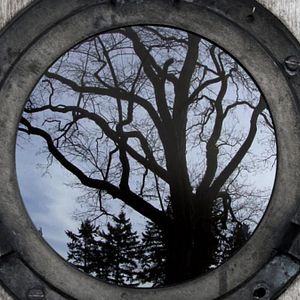 Bilder An Ecology of Mind