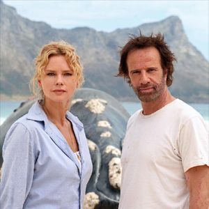 Bilder Das Geheimnis der Wale