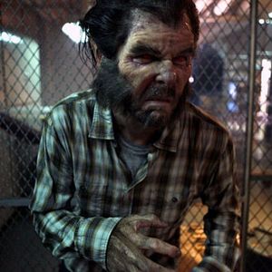 Bilder Silas Weir Mitchell