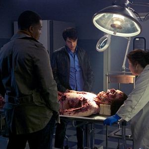 Bilder David Giuntoli