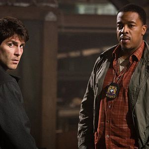 Bilder David Giuntoli