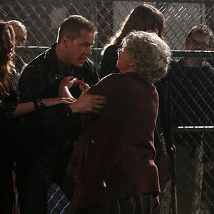 Bilder Beverley Elliott