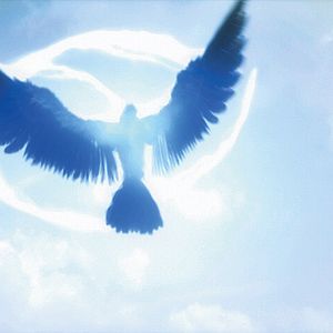 Bilder Assault Girls