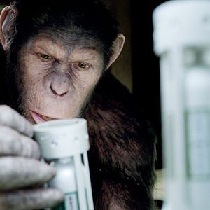 Bilder Planet der Affen: Prevolution