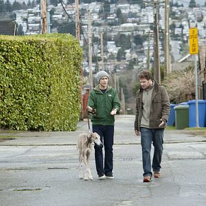 Bilder 50/50 - Freunde fürs (Über)leben