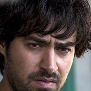 Bilder Shahab Hosseini