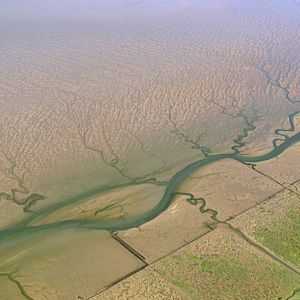 Bilder Die Nordsee von oben