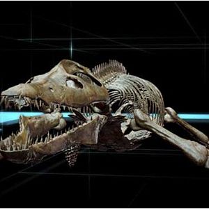 Bilder Sea Rex 3D: Reise in die Zeit der Dinosaurier