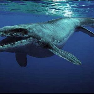 Bilder Sea Rex 3D: Reise in die Zeit der Dinosaurier