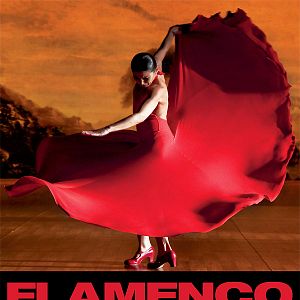 Bilder Flamenco, Flamenco