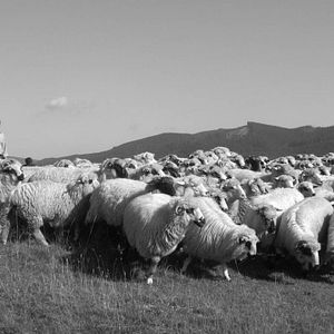 Bilder Dem Himmel ganz nah