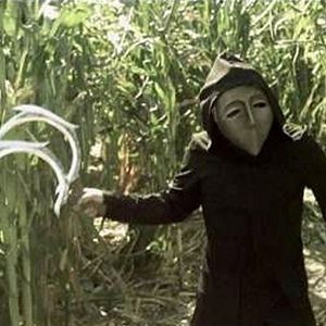 Bilder Krieger des Lichts