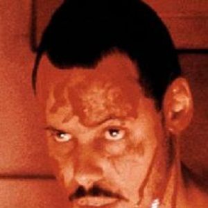 Bilder Maurice Dean Wint