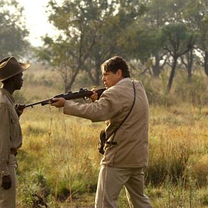 Bilder Der weisse Löwe