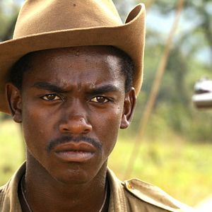 Bilder Der weisse Löwe