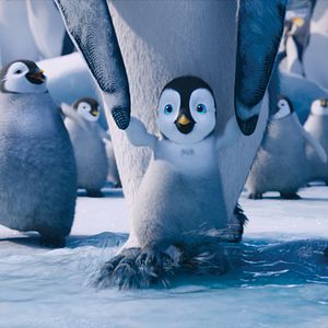Bilder Happy Feet 2