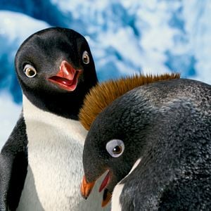 Bilder Happy Feet 2