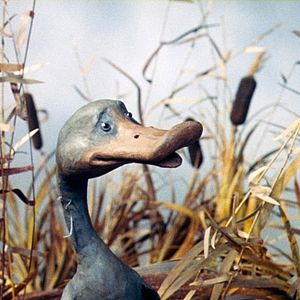 Bilder Gadkii Utenok