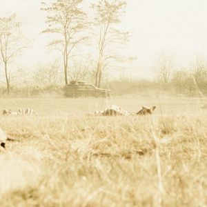 Bilder Hell - Die Sonne wird euch verbrennen