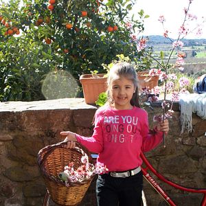 Bilder Passi el que passi