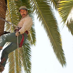 Bilder A Better Life