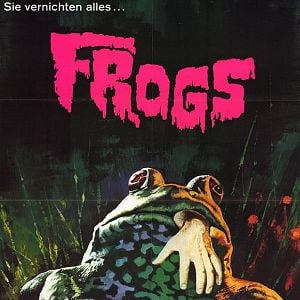 Bilder Frogs - Frösche