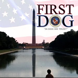 Bilder First Dog - Zurück nach Hause