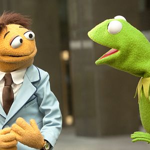 Bilder Die Muppets