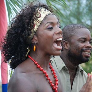 Bilder The Last flight of the flamingo