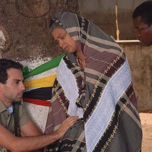 Bilder The Last flight of the flamingo