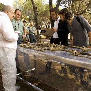 Bilder Fernando Cayo