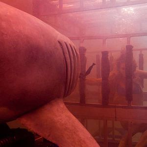 Bilder Shark Night 3D