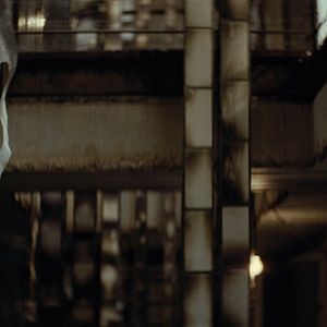 Bilder Over Your Cities Grass Will Grow